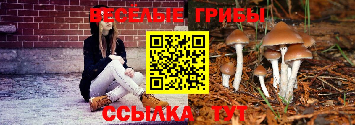 Конаково  Псилоцибиновые грибы прущие грибы  Вход с VPN 